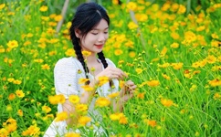 我们换个地方做吧未增删樱花视频